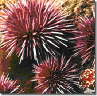 APS112905_1sm.jpg