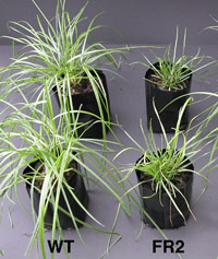 ASPB32206_1.jpg