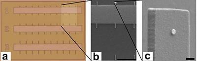 DNAarray72.jpg