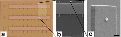 DNAarray72.jpg