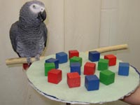 brandeis070805.1sm.jpg