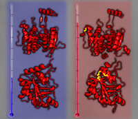 plos081605_1sm.jpg