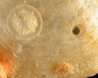 vtech061305_2sm.jpg