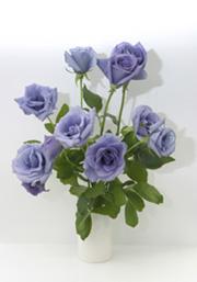 http://www.biologynews.net/resources/blue-rose-thumb.jpg